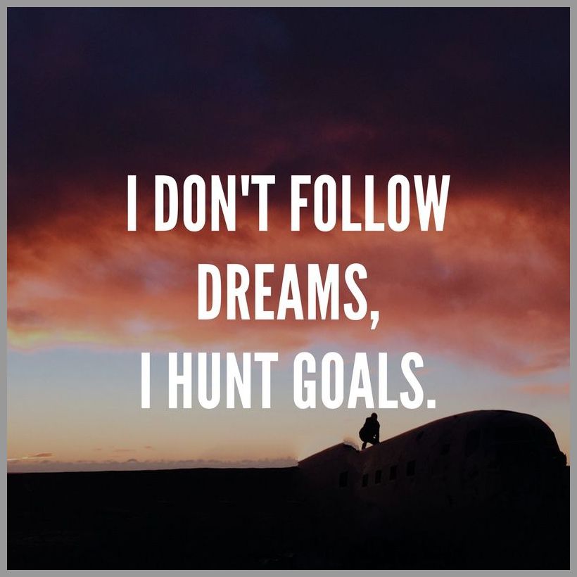 I don t follow dreams i hunt goals