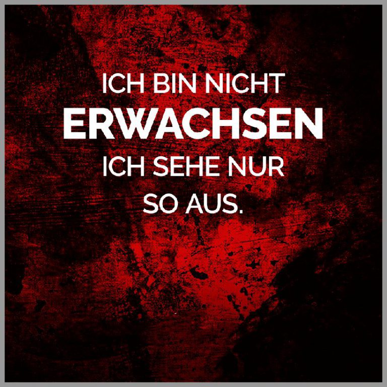 Ich bin nicht erwachsen ich sehe nur so aus 1