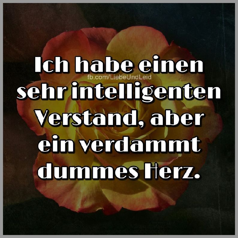 Ich habe einen sehr intelligenten verstand Bilder und Sprüche