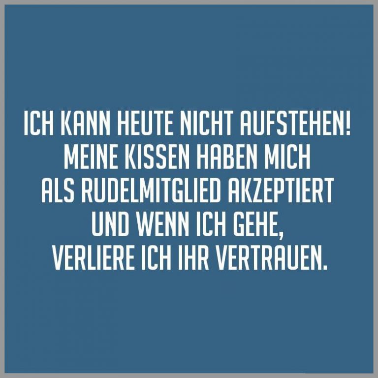Ich kann heute nicht aufstehen meine kissen haben mich als rudelmitglied akzeptiert und wenn ich gehe verliere ich ihr vertrauen