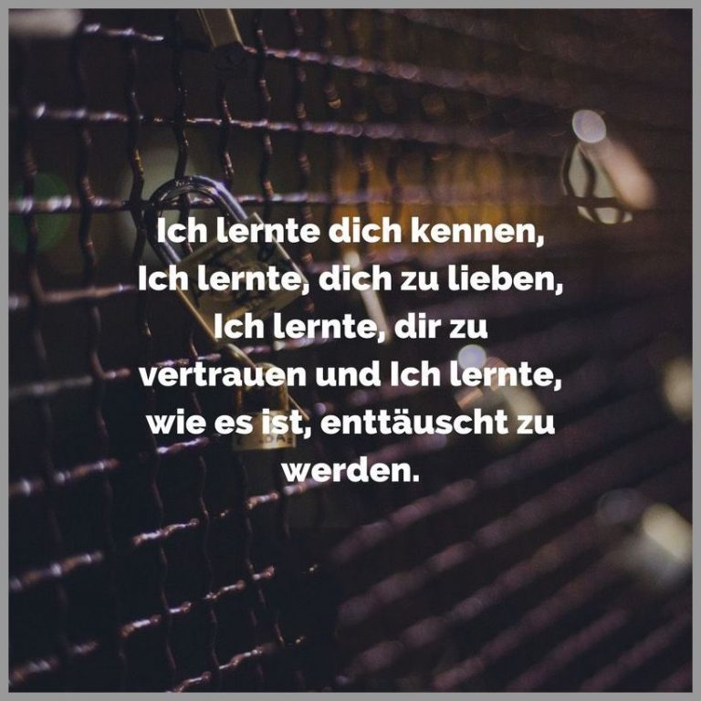 Ich lernte dich kennen ich lernte dich zu lieben ich lernte dir zu vertrauen und ich lernte wie es ist enttaeuscht zu werden