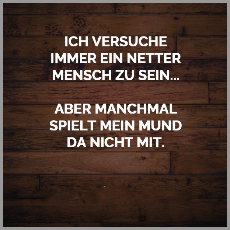 Ich versuche immer ein netter mensch zu sein aber manchmal spielt mein mund da nicht mit