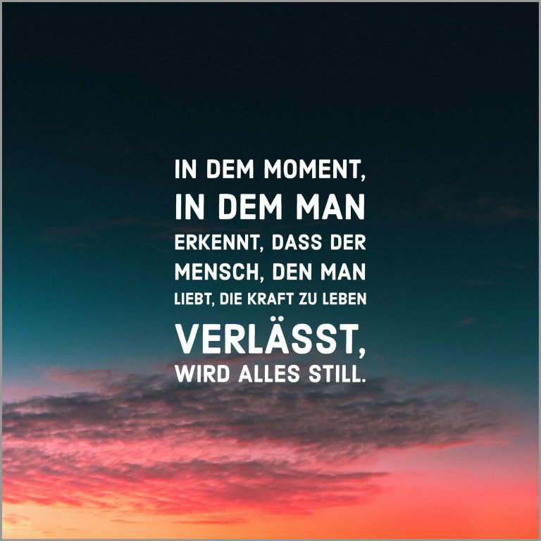 In dem moment in dem man erkennt dass der mensch den man liebt die kraft zu leben verlaesst wird alles still