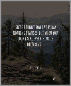 Isn t it funny how day by day nothing changes but when you look back everything is different 249x300 - Alles hat ein ende aber alles kann auch wieder neu beginnen