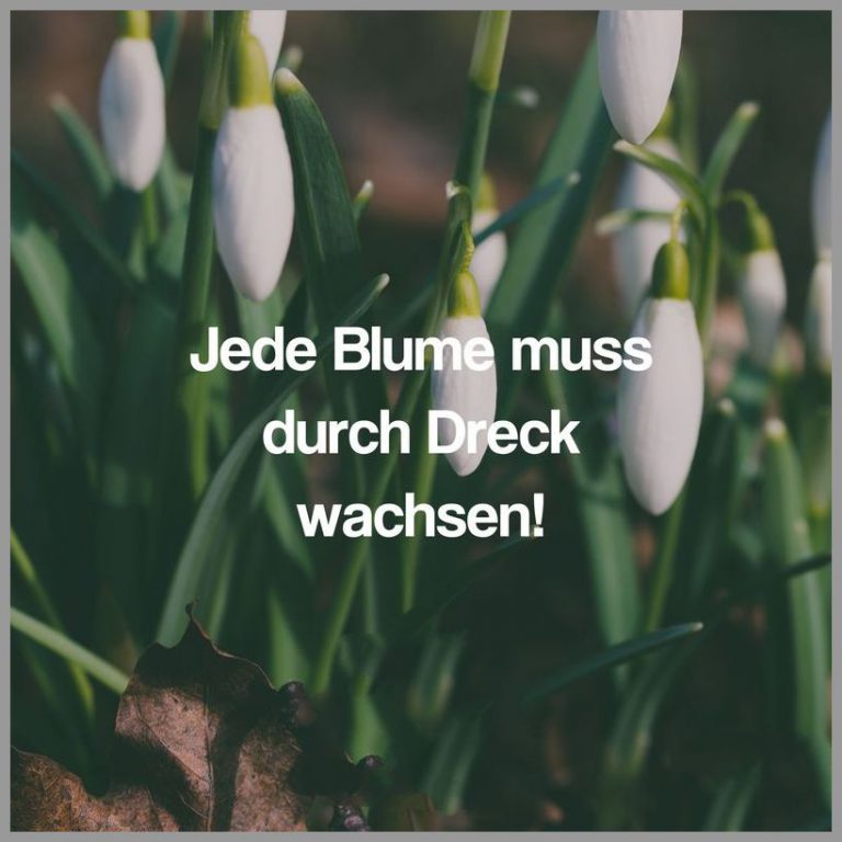 Das herz hat eine vernunft die der verstand nicht begreift Bilder und