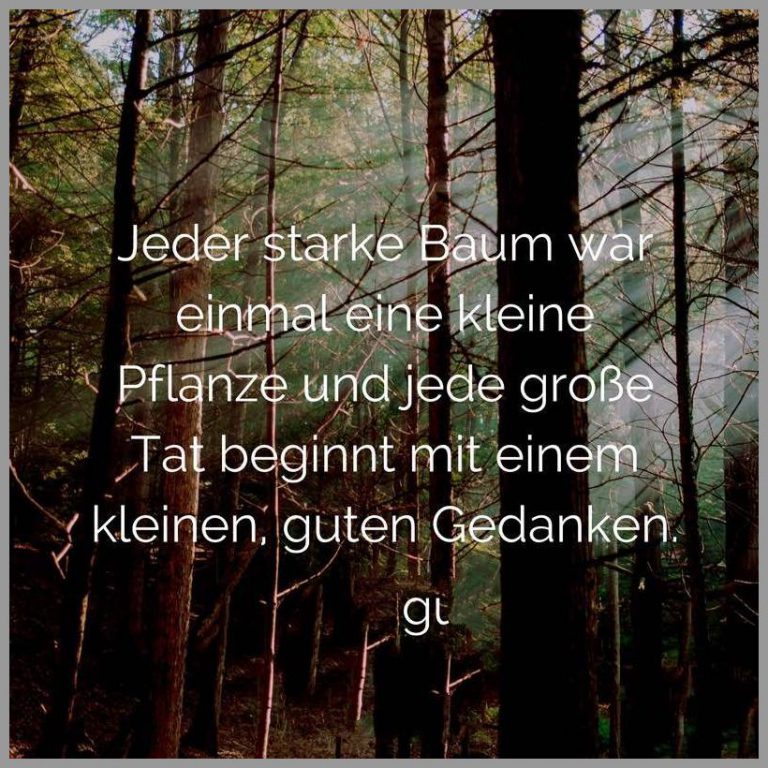 Jeder starke baum war einmal eine kleine pflanze und jede grosse tat beginnt mit einem kleinen guten gedanken