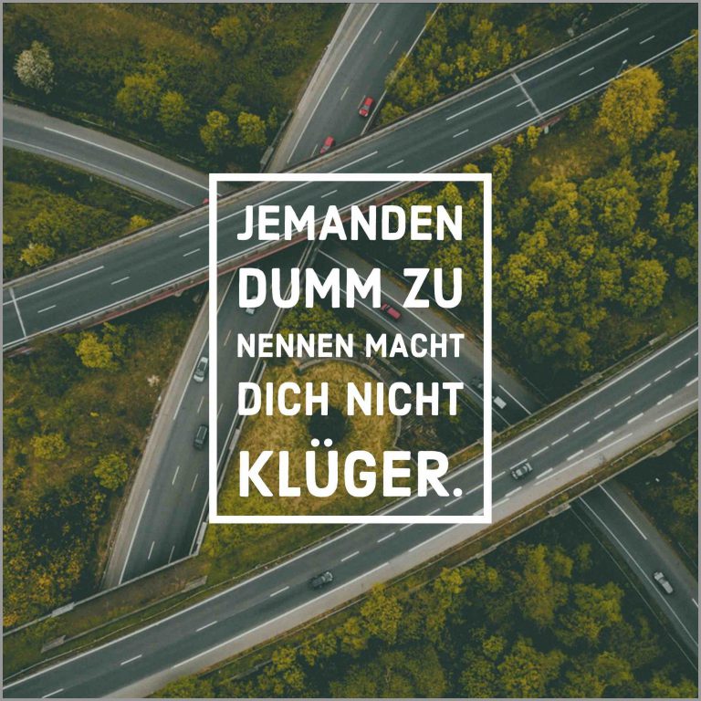 Jemanden dumm zu nennen macht dich nicht klueger