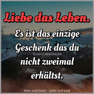 Liebe das leben es ist das einzige Bilder und Sprüche