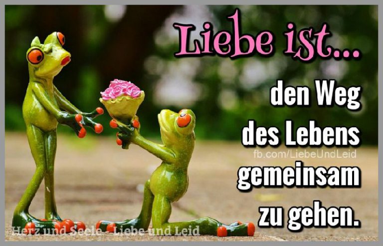 Liebe ist den weg des lebens gemeinsam zu gehen 63c5 Bilder und Sprüche