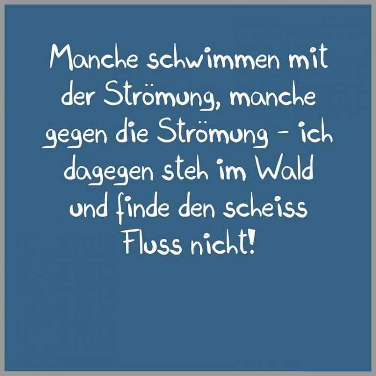 Manche schwimmen mit der stroemung manche gegen die stroemung ich dagegen steh im wald und finde den scheiss fluss nicht
