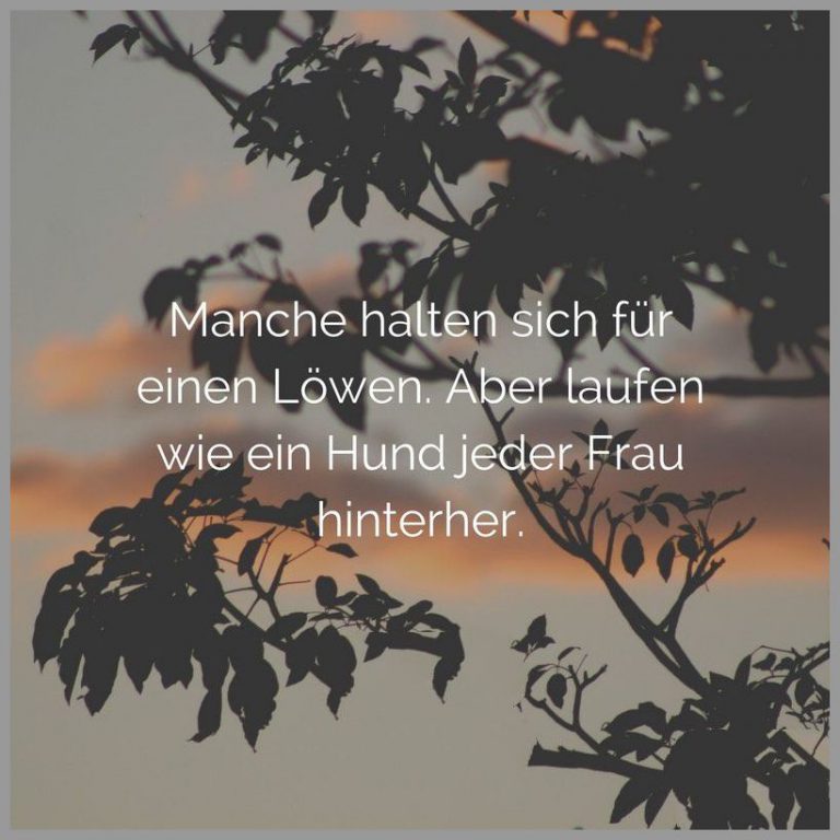 Manchen halten sich fuer einen loewen aber laufen wie ein hund jeder frau hinterher