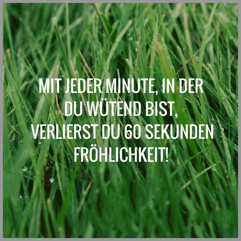 Mit jeder minute in der du wuetend bist verlierst du 60 sekunden froehlichkeit