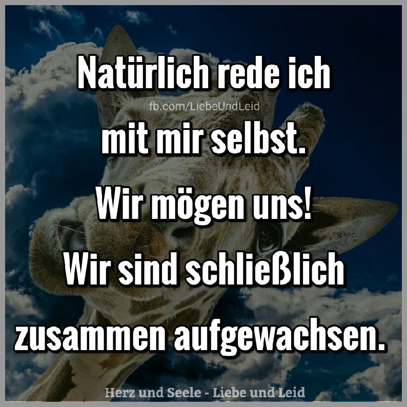 Natuerlich rede ich mit mir selbst wir moegen uns Bilder und Sprüche