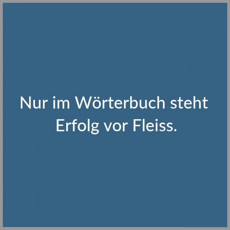 Nur im woerterbuch steht erfolg vor fleiss