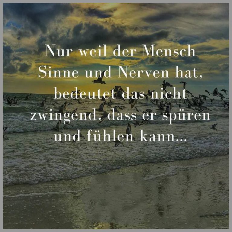 Nur weil der mensch sinne und nerven hat bedeutet das nicht zwingend dass er spueren und fuehlen kann
