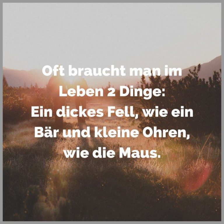Oft braucht man im leben 2 dinge ein dickes fell wie ein baer und kleine ohren wie die maus
