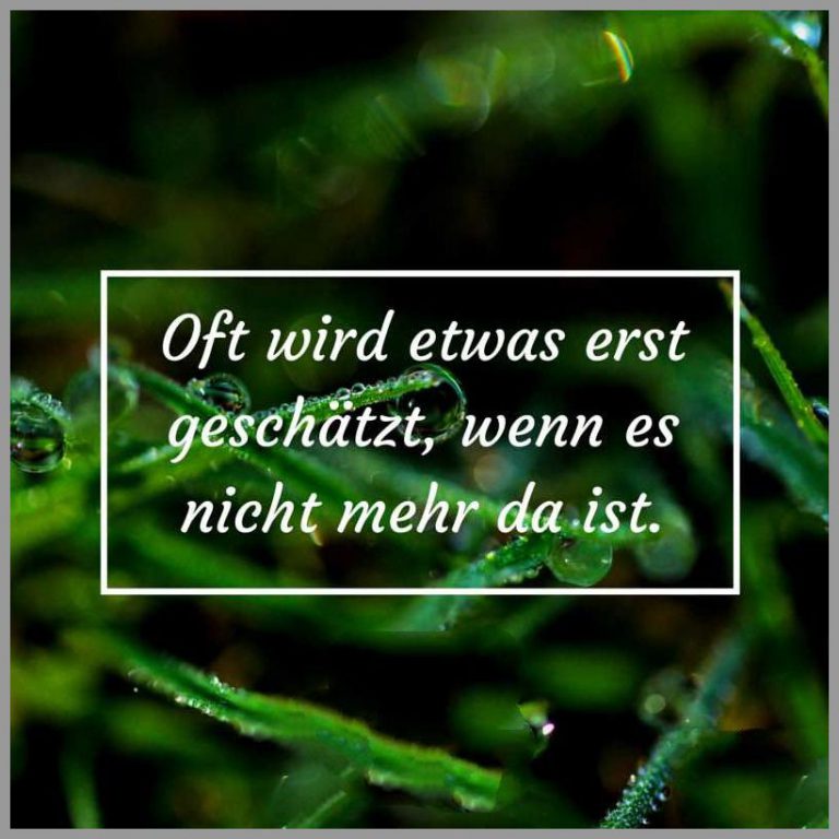 Oft wird etwas erst geschaetzt wenn es nicht mehr da ist