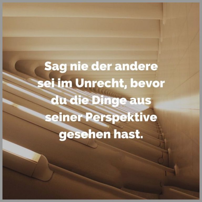 Sag nie der andere sei im unrecht bevor du die dinge aus seiner perspektive gesehen hast