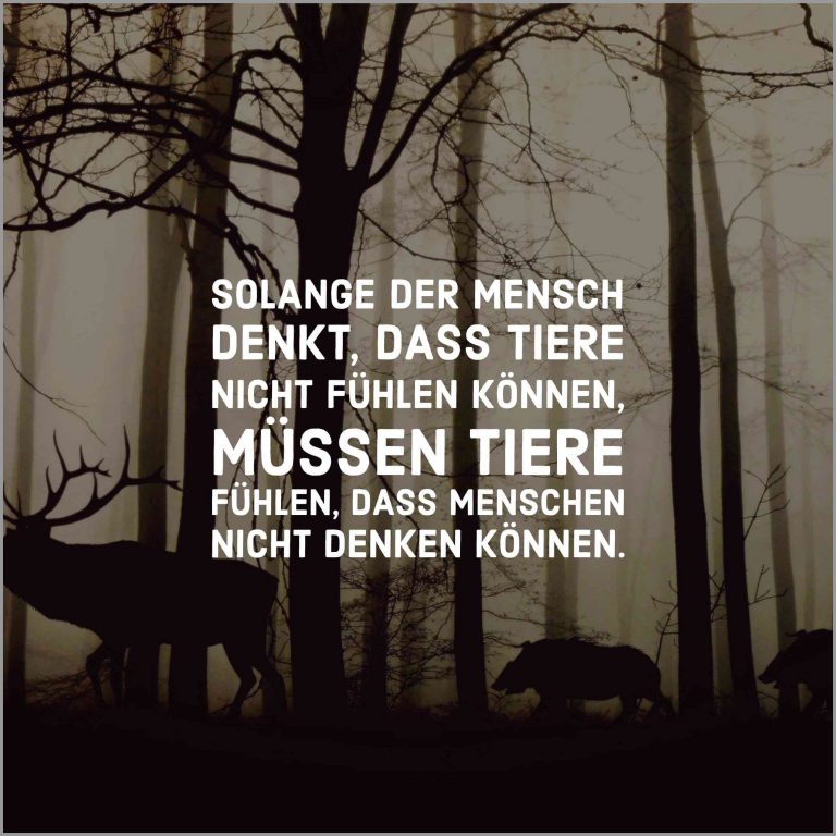 Solange der mensch denkt dass tiere nicht fuehlen koennen muessen tiere fuehlen dass menschen nicht denken koennen