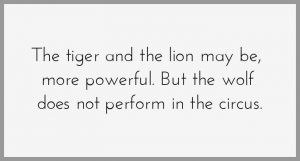 The tiger and the lion may be more powerful but the wolf does not perform in the circus 300x161 - The tiger and the lion may be more powerful but the wolf does not perform in the circus