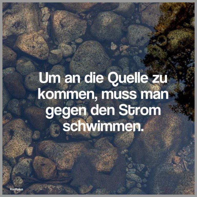 Um an die quelle zu kommen muss man gegen den strom schwimmen