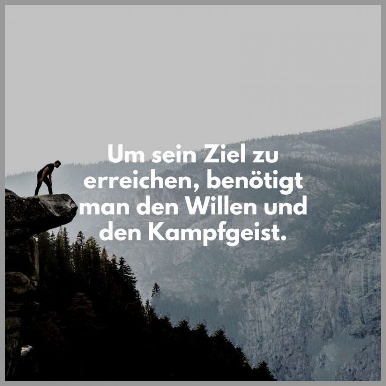 Um sein ziel zu erreichen benoetigt man den willen und den kampfgeist