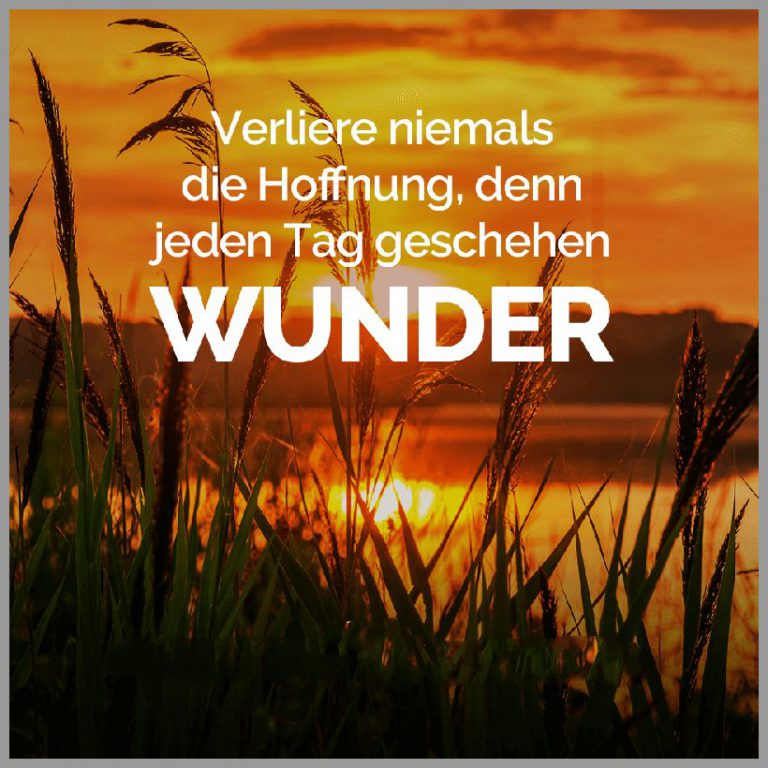 Verliere niemals die hoffnung denn jeden tag geschehen wunder