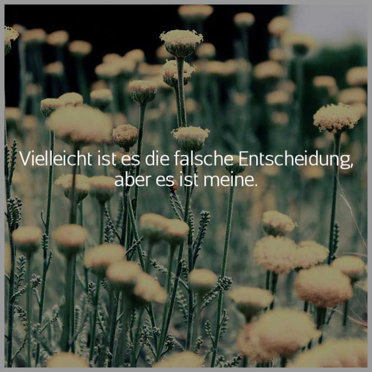 Vielleicht ist es die falsche entscheidung aber es ist meine