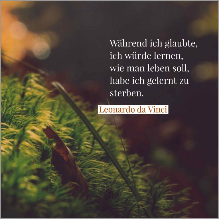 Waehrend ich glaubte ich wuerde lernen wie man leben soll habe ich gelernt zu sterben