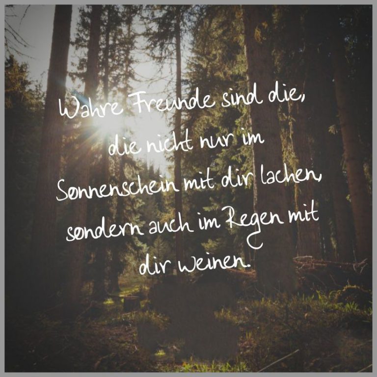 Wahre freunde sind die die nicht nur im sonnenschein mit dir lachen sondern auch im regen mit dir weinen
