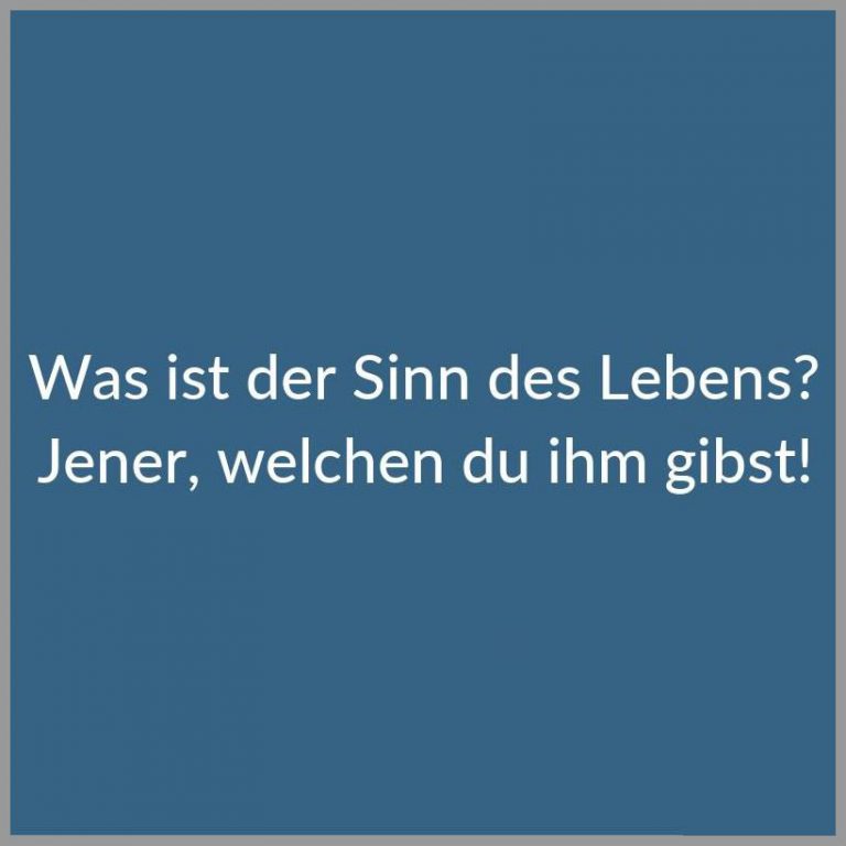 Was ist der sinn des lebens jener welchen du ihm gibst