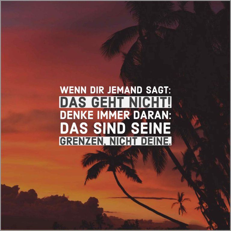 Wenn dir jemand sagt das geht nicht denke immer daran das sind seine grenzen nicht deine