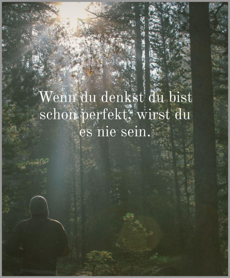 Wenn du denkst du bist schon perfekt wirst du es nie sein