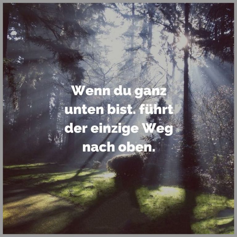 lustige bilder mit sprüchen Bilder und Sprüche