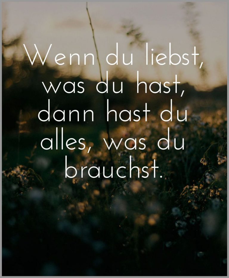 Wenn du liebst was du hast dann hast du alles was du brauchst