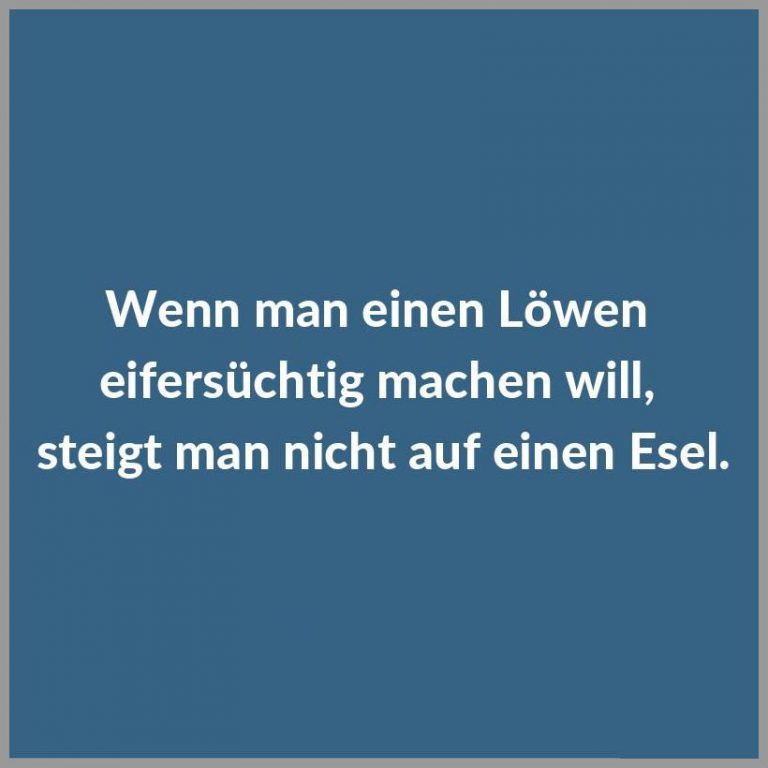 Wenn man einen loewen eifersuechtig machen will steigt man nicht auf einen esel