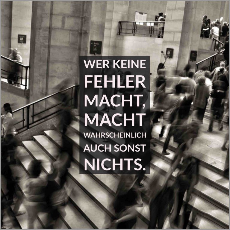 Wer keine fehler macht macht wahrscheinlich auch sonst nichts