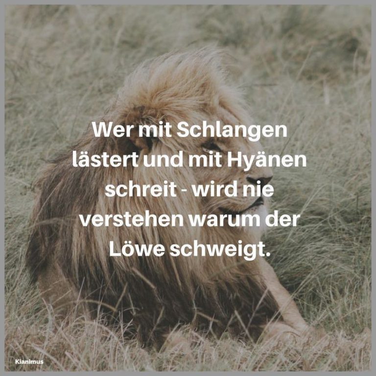 Wer mit schlangen laestert und mit hyaenen schreit wird nie verstehen warum der loewe schweigt