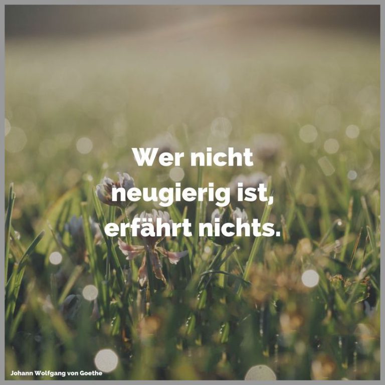 Wer nicht neugierig ist erfaehrt nichts