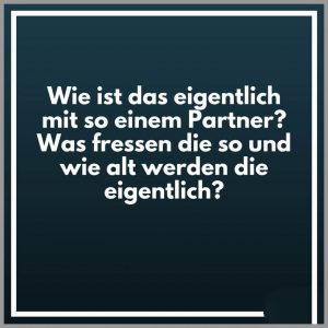 Wie ist das eigentlich mit so einem partner was fressen die so und wie alt werden die eigentlich