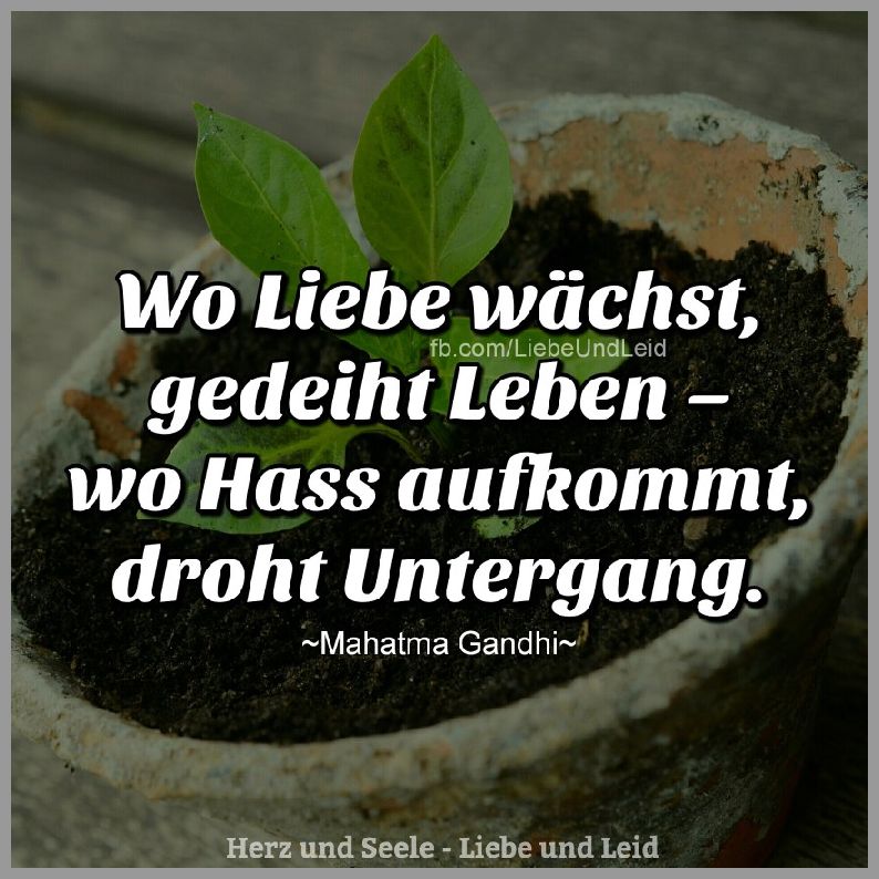 Wo liebe wachst gedeiht leben Bilder und Sprüche