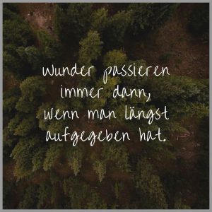 Wunder passieren immer dann wenn man laengst aufgegeben hat