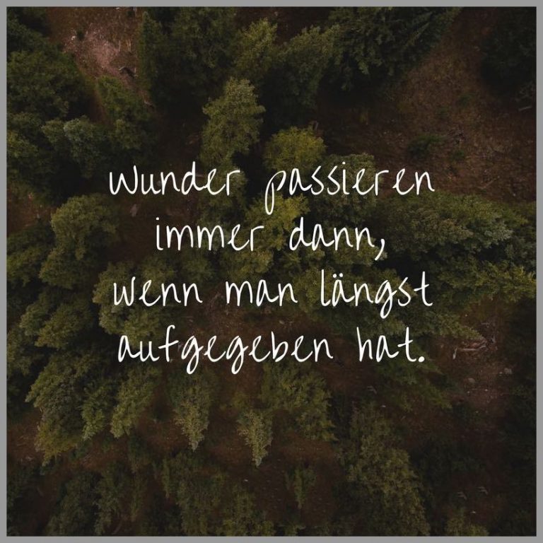 Wunder passieren immer dann wenn man laengst aufgegeben hat
