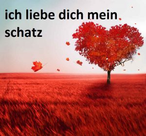 ich liebe dich mein schatz bilder 300x281 - ich liebe dich mein schatz bilder