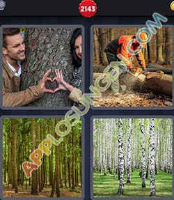 Bild von 4 bilder 1 wort level 2143 lösung BAUMSTAMM