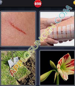 4 bilder 1 wort level 898 lösung NARBE - Ehrfürchtiger Blumen Geburtstagskuchen mit Namen