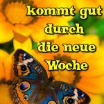 Bilder f%C3%BCr montag gr%C3%BC%C3%9Fe 150x150 - Guten morgen montag bilder lustig