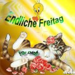 Bilder f%C3%BCr sch%C3%B6nen freitag 150x150 - Schönen freitag mädels