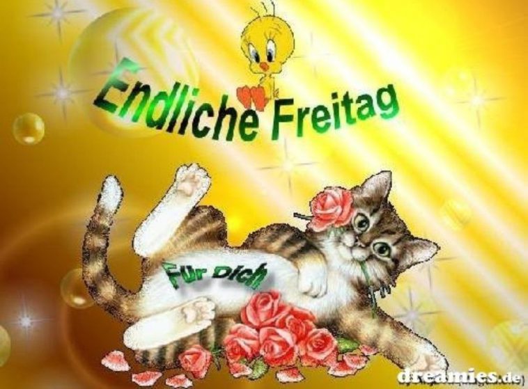Schönen freitag tiere Bilder und Sprüche für Whatsapp und Facebook