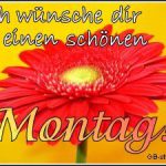 Bilder zu montag morgen 150x150 - Dreamies montag bilder